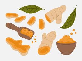 Turmeric Root and Powder Flat Set vector