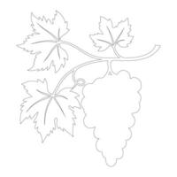 Outline bunch of grapes on branch with leaves, dark contour of grapes on white background. vector
