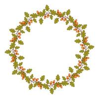 Wreath of oak acorns on branch, beautiful oak branches with acorn fruits in form of round frame, empty space for an inscription. Isolated on white background. vector