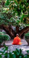 Monk meditates under old tree in peaceful garden photo