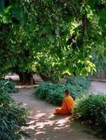 Young monk meditates under a Bodhi tree in Bodh Gaya, India photo