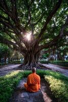Monk meditates beneath a large banyan tree in Southeast Asia photo