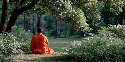 Monk in orange robes meditates peacefully in nature photo