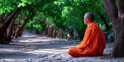 Monk meditating in lotus position under tree at Buddhist temple photo