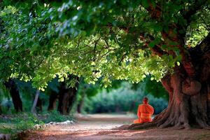 Monk sits in meditation under tree in a peaceful setting photo