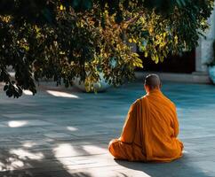 Monk in orange robe meditating under tree in quiet courtyard photo