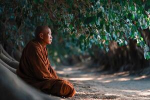 Monk meditates serenely in a peaceful forest of Southeast Asia photo