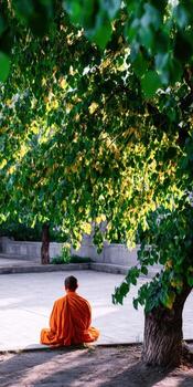 Buddhist monk meditates under a Bodhi tree at midday photo
