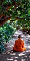 Monk meditates in peaceful natural environment in southeast Asia photo