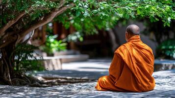 Buddhist monk meditates in the shade of a tree at a Temple photo