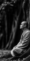 Meditative monk rests against tree in peaceful Forest photo