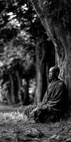 Monk sitting quietly against a tree trunk in the Forest photo