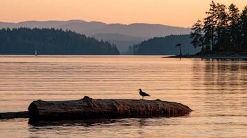 Still water and Islands at Sunset in the San Juan Islands photo