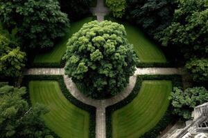 Aerial view of symmetric Garden at early Morning in Europe photo