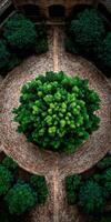 Overhead view of circular garden design at Bom Jesus, Braga photo