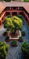 Lush tree in hotel courtyard at Sacred Valley, Peru daytime photo