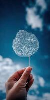 Hand holding delicate leaf skeleton against a cloudy sky photo