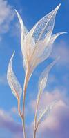 Crystal flower stalks reach toward a cloudy blue Sky photo