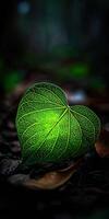 Bright green leaf falls on dark ground in a shady forest photo