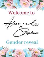 Welcome sign for gender reveal party vector