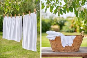Freshly laundered white linens hanging on a clothesline outdoors, with a wicker basket filled with folded towels nearby, showcasing a serene laundry day scene in a garden photo