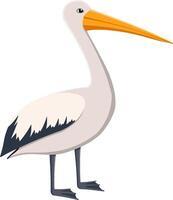 A Side View Illustration Of A Standing Pelican vector
