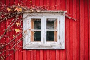 Rustic wooden window framed by climbing vines on a vibrant red wooden wall, showcasing natural textures and colors, creating a warm and inviting atmosphere photo