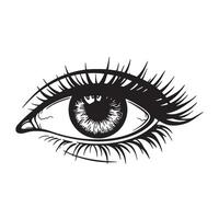 Detailed black and white illustration of an eye with eyelashes and iris vector