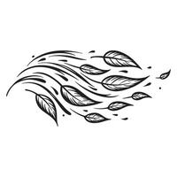 Elegant hand drawn illustration of leaves blowing in the wind on a white background vector
