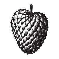Detailed black and white illustration of a textured hop cone isolated on white background vector