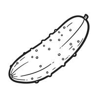 Simple black and white illustrated cucumber vegetable ready for culinary use or dietary concepts vector