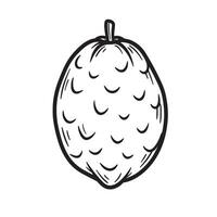 Simple hand drawn black and white illustration of a guava fruit with detailed outlines vector