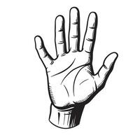 Hand gesture drawing detailed in black and white lines showing a palm open forward. vector