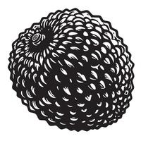 illustration of a black and white detailed and textured lychee fruit isolated vector