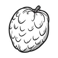 Hand drawn illustration of a single hop cone in black and white for design use vector