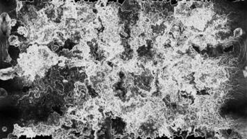 Dynamic Black and White Abstract Texture - Evolving Monochrome Pattern Background Loop video