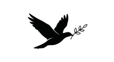 The Silent Messenger Dove Carrying a Symbol of Hope vector