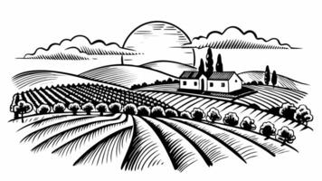 Rural Landscape with Farm and Fields at Sunrise in Engraved Style vector