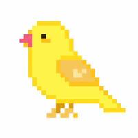 Yellow Pixel Art Bird with Simple 8 bit Design on White Background vector