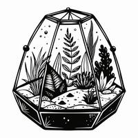 Monochrome Geometric Terrarium Illustration with Succulents and Ferns vector