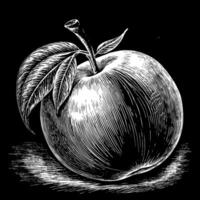 A drawing of a single apple with a leaf on top vector