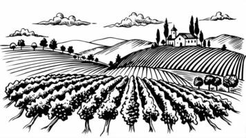 Scenic Vineyard Landscape with Rolling Hills and Rustic Church in Black and White vector