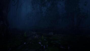 Night rain in the deep forest, the rain fell into the lotus pond in the tropical forest video