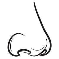Isolated black and white outline illustration of a human nose with detailed shadows vector