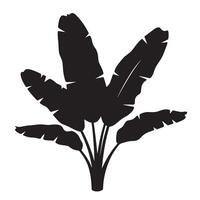 Black and white silhouette of a banana tree plant with tropical large leaves design vector