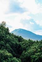 Scenic Carpathians view of a mountain surrounded by lush green trees under a cloudy sky photo