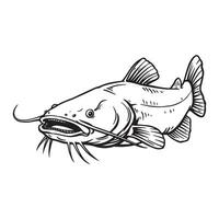 Detailed ink drawing of a catfish depicting its whiskers and fins against a white background vector