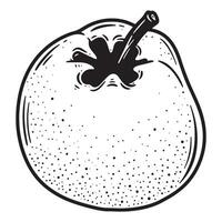 Simple black and white illustration of a delicious fresh pear fruit isolated vector
