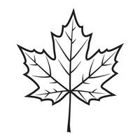 Black and white outline of a single maple leaf isolated on a white background vector