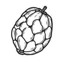 Hand drawn illustration of a cherimoya fruit in a simple black and white style vector